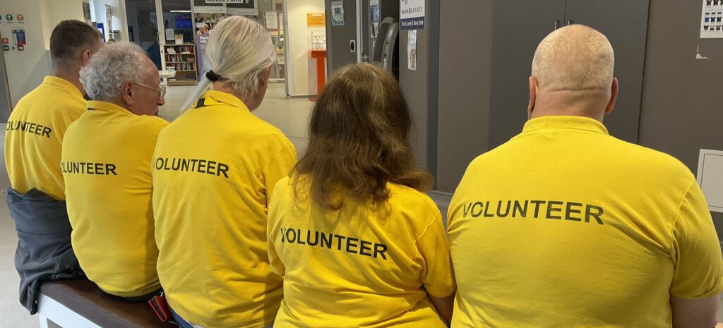Five of our volunteers in their yellow t-shirts with "volunteer" written on the back