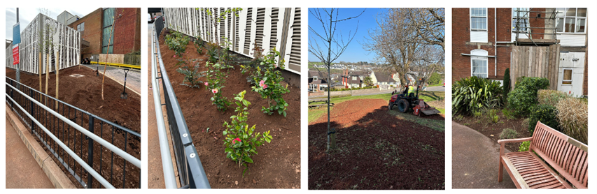 Photo montage of some of the grounds work in our green spaces