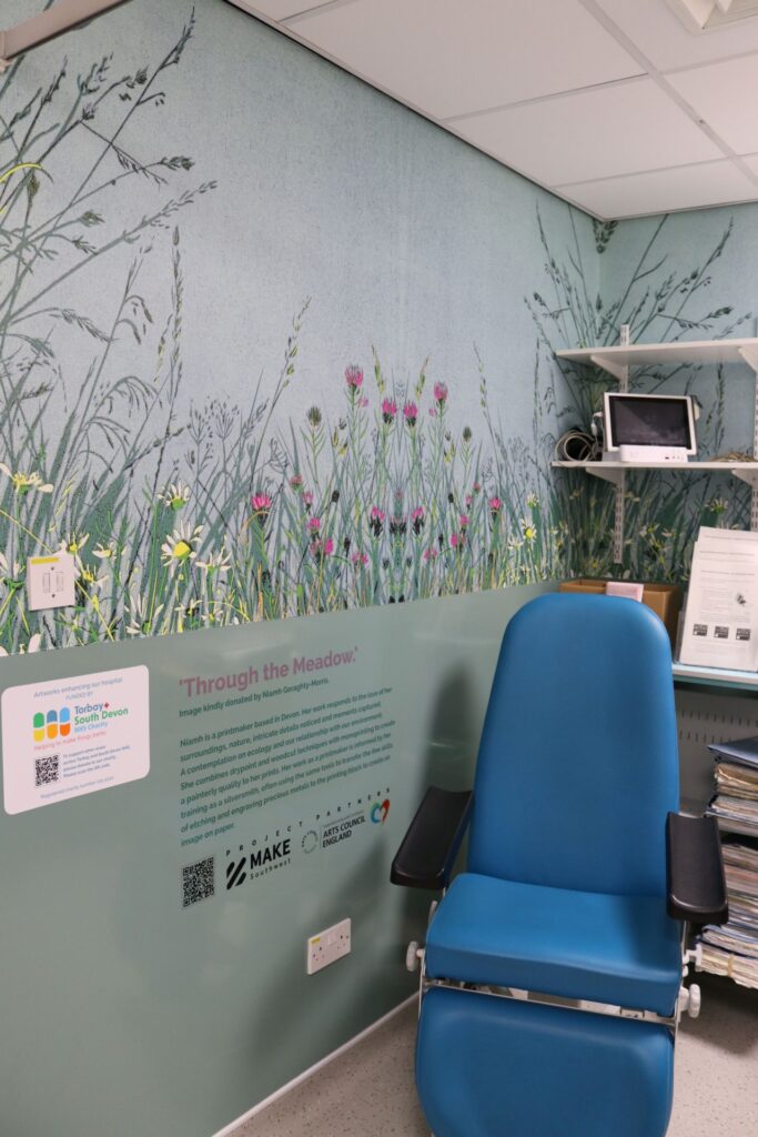 Our refurbished pacemaker room featuring the beautiful artwork installation called Through the Meadow, created by local printmaker Niamh Geraghty Morris.
